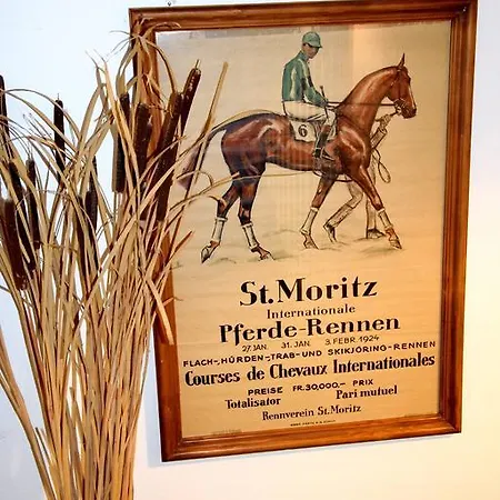 Salastrains 酒店 圣莫里茨