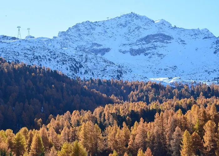 ホテル Salastrains