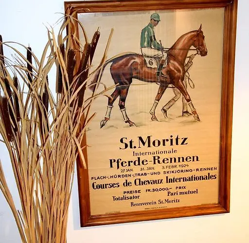 Salastrains Hotel São Moritz